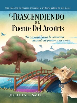Trascendiendo El Puente Del Arcoiris - ebook